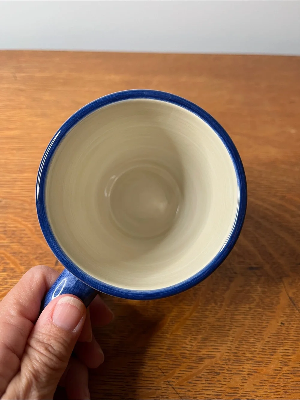 Retired Pier 1 Imports Vallarta Handpainted Earthenware Floral Coffee/Tea Mug.